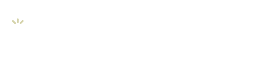 LogoLumipower
